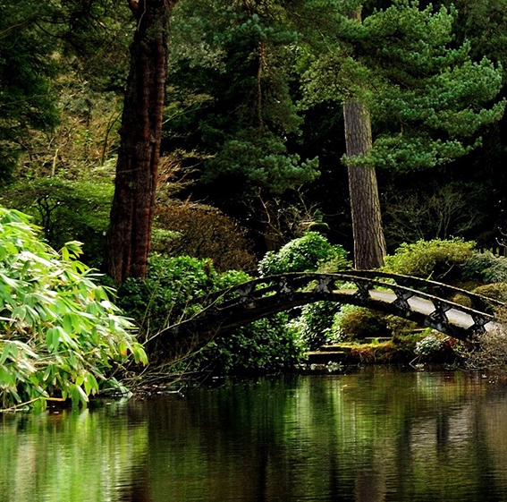 粉象生活推广多少人可以每月一万