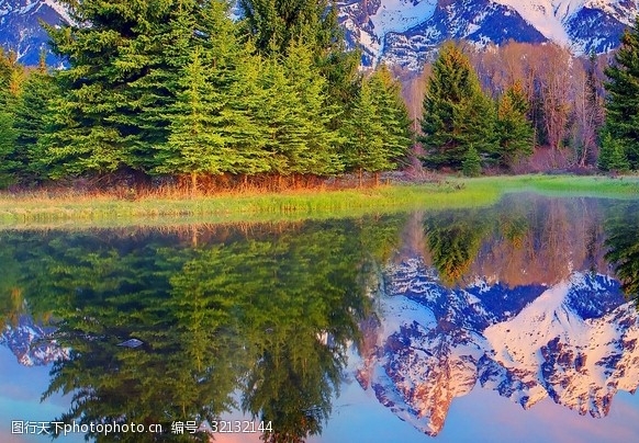 怎么投诉粉象生活