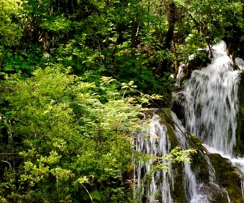 粉象生活可以赚钱吗