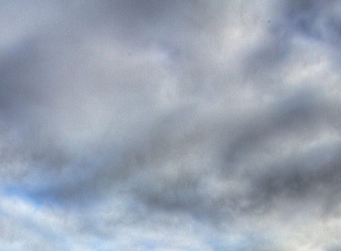 粉象生活是干嘛的