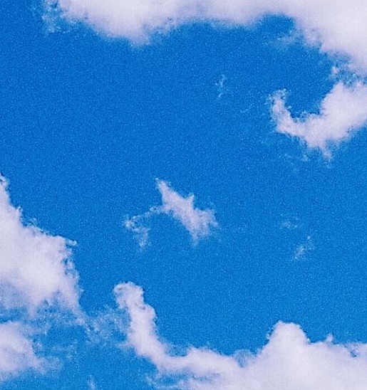 粉象生活级别怎么分类?