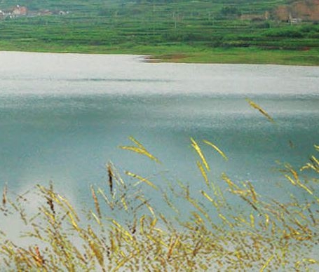 粉象生活骗局讲解