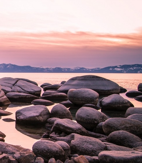 粉象生活下载app