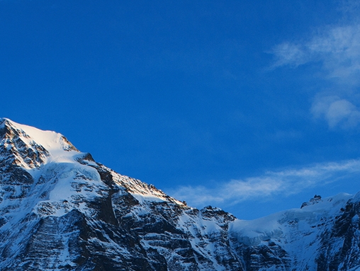 粉象生活官网app下载