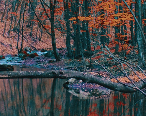 粉象生活怎么打开