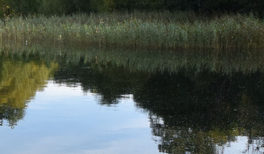 粉象生活怎么赚钱