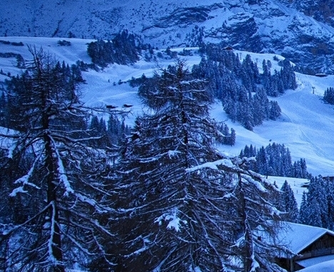 湖南正规粉象生活推广