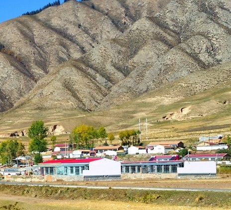 粉象生活几代获利