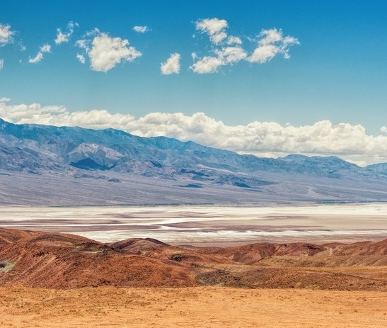粉象生活宣传单
