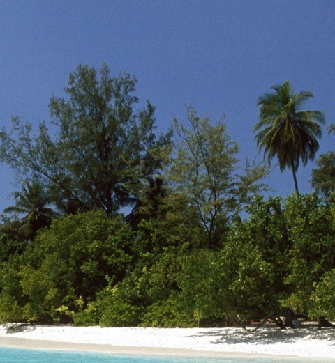 汕头粉象生活使用教程