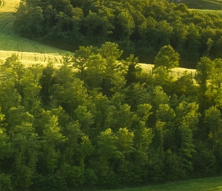 粉象生活邀请码