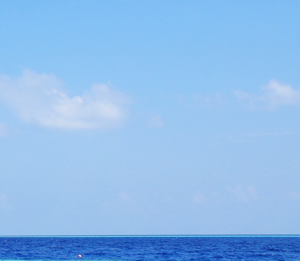 粉象生活怎样填写邀请码