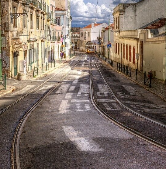 粉象生活下载app