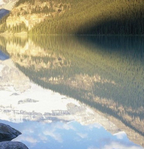 粉象生活热度低了