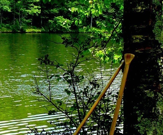 粉象生活上怎么申请原创