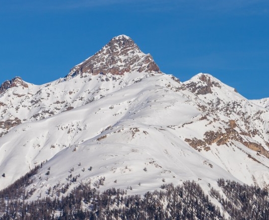 粉象怎么更改邀请人