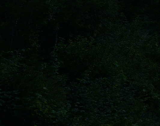 粉象生活多久开始赚钱