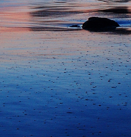 粉象生活能赚钱吗