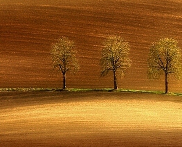 粉象生活上的东西是正品吗