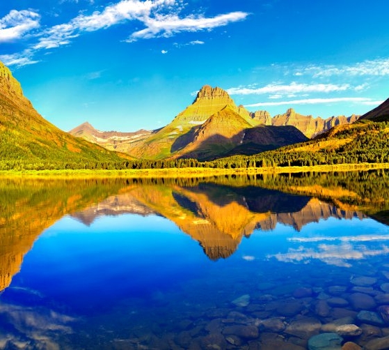 李红星 粉象生活