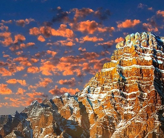 粉象生活赚钱教程