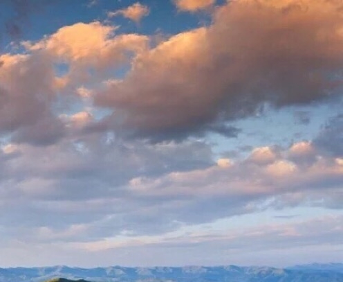 粉象生活的佣金怎么样