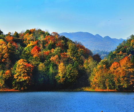 粉象生活能赚到钱吗
