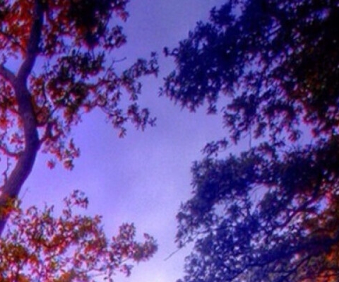 粉象生活赚钱教程