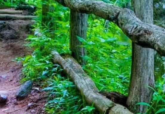 冰粉万象滑冰场门票