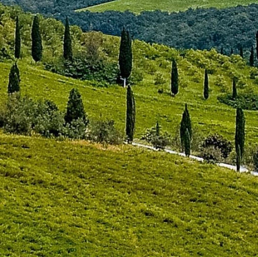 粉象生活怎么赚钱