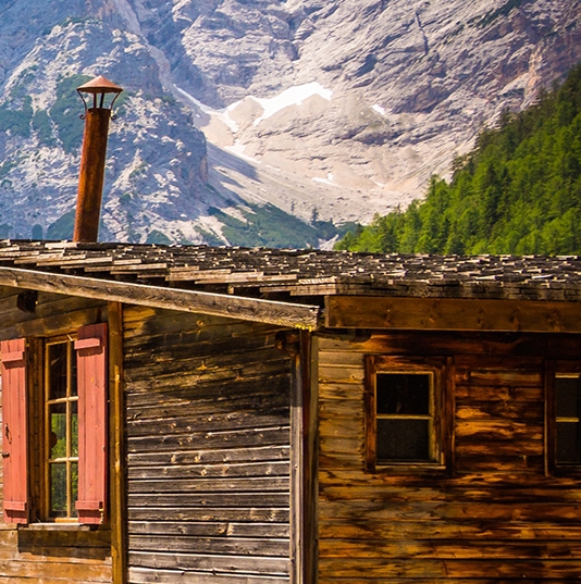 我们生活在南京 小说 下载