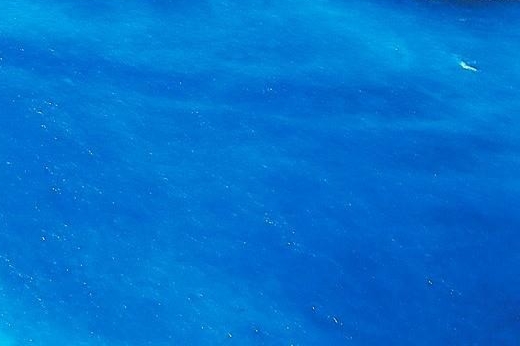 粉象生活加油抵扣