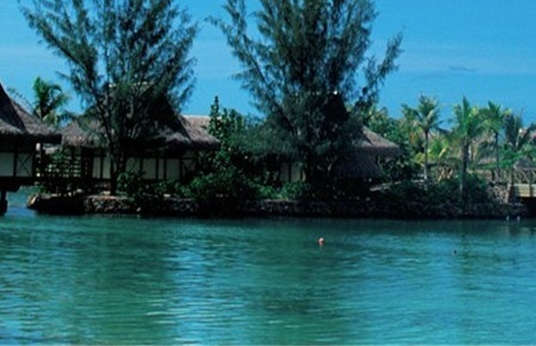 粉象生活真实收入