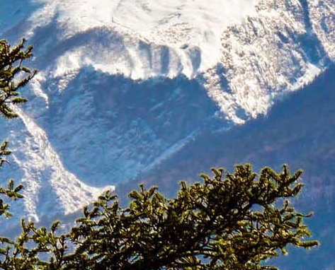 粉象生活邀请码