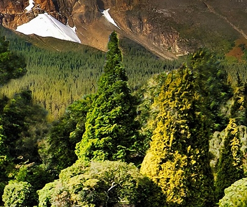 济南粉象生活软件