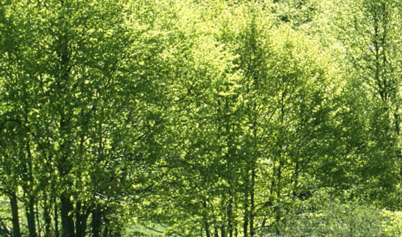 惠州中海生活汇电话