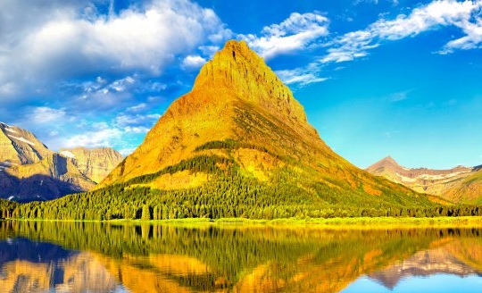 粉象生活怎么造假