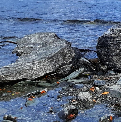 粉象生活怎么赚钱