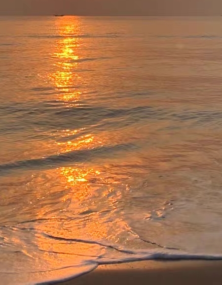 苏州粉象生活佣金