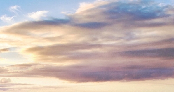 粉象生活官方APP邀请码