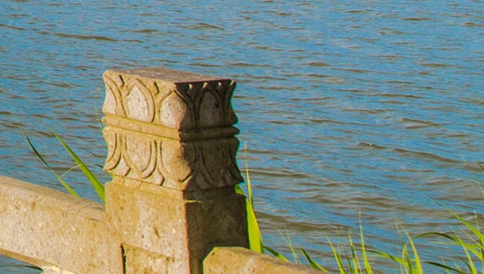 粉象生活怎么做任务