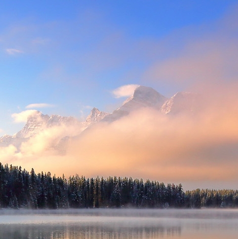 粉象生活有没有官网