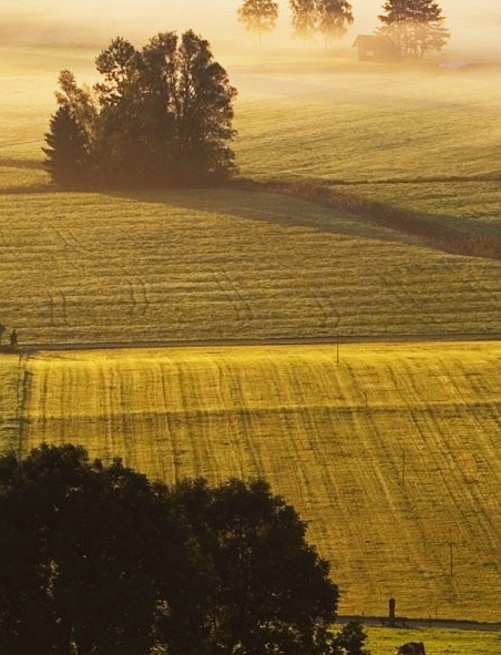 粉象生活怎么操作