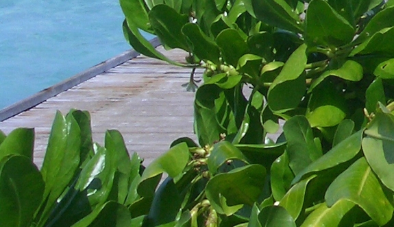 粉象生活赚钱教程