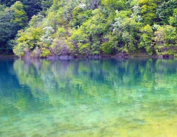 粉象生活哪里可以卖货