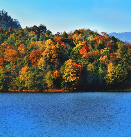 你们做粉象生活的收入