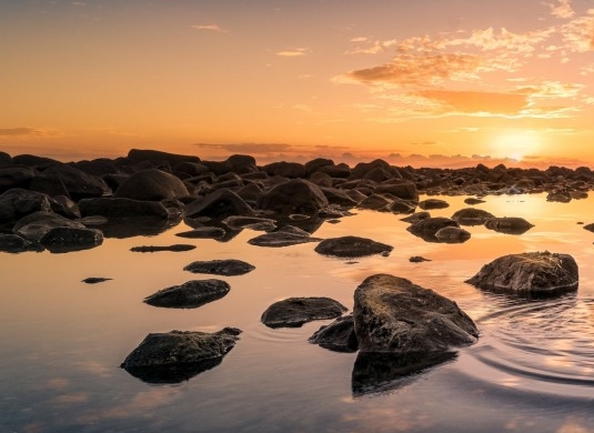 粉象生活怎么推广引流