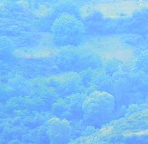 粉象生活发票