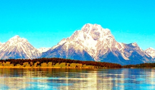 粉象生活淘宝联盟佣金对比