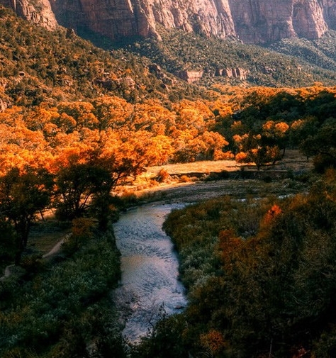 粉象生活购物车多个商品